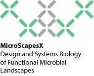 MicroscapesX