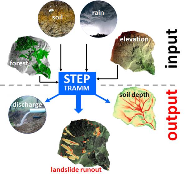 Flow chart of model